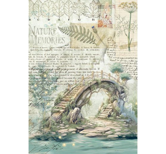 Motief strozijde assortiment "Herbarium Silvae", set van 8