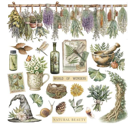 Rub On assortiment "Herbarium Silvae"