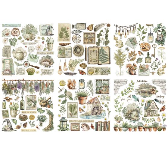 Rub On assortiment "Herbarium Silvae"
