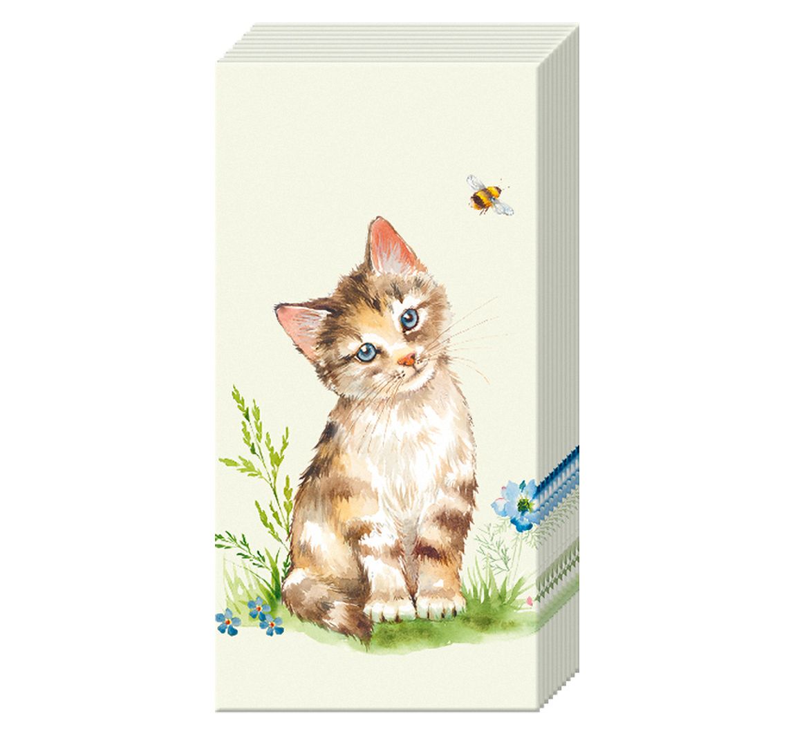 Papieren zakdoeken "Cat Kira"