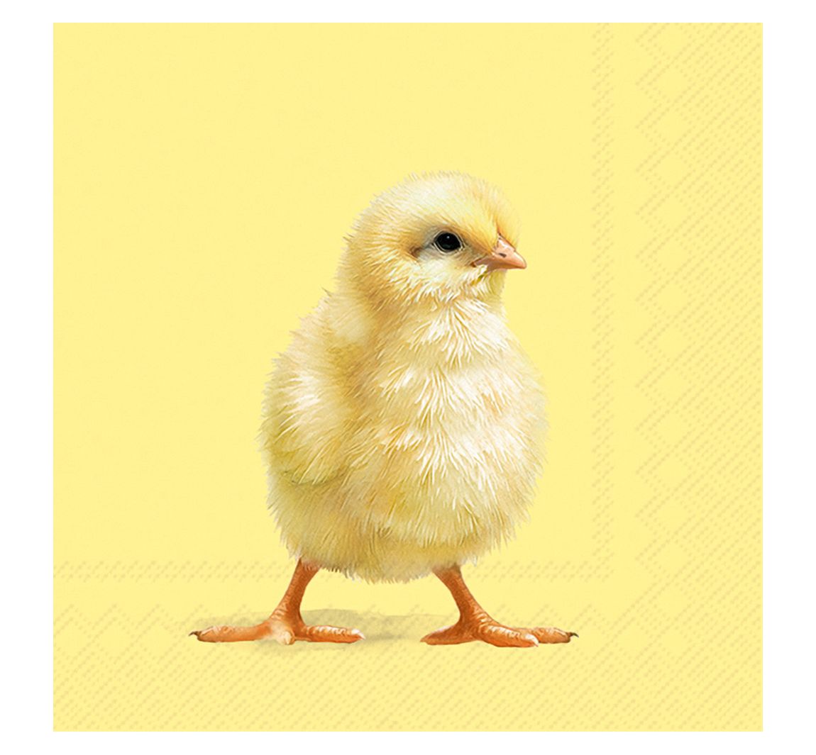 Servet "Easter Chick"