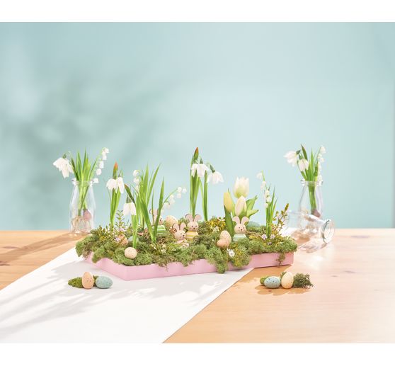 Lelietjes-van-dalen met wortels