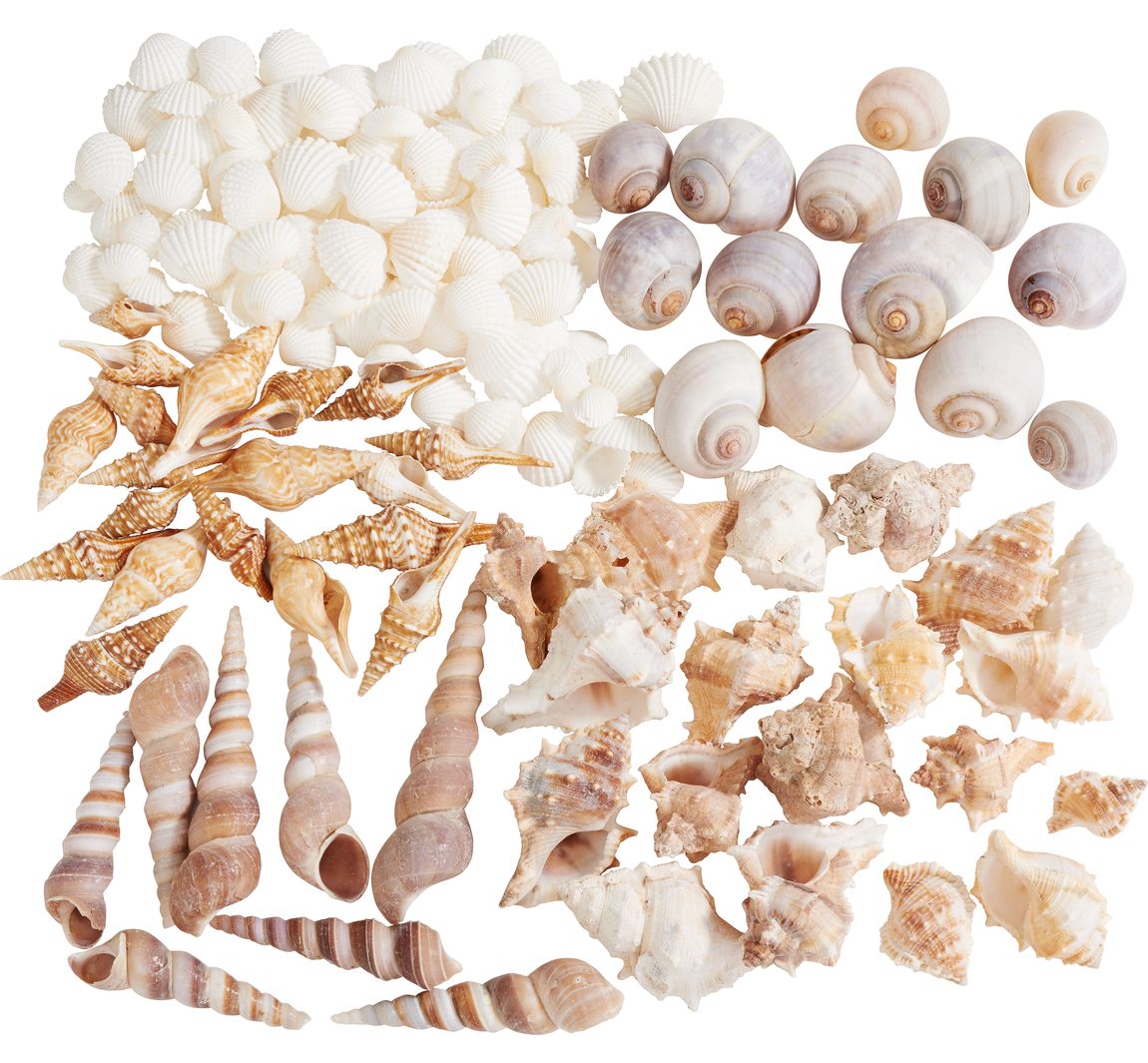 Shelp mix, natural