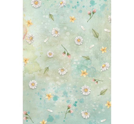 Motif straw silk backgrounds "Daisy Art", set of 8