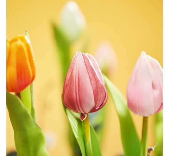 Tulpen bos met 3 bloemen en 2 knoppen