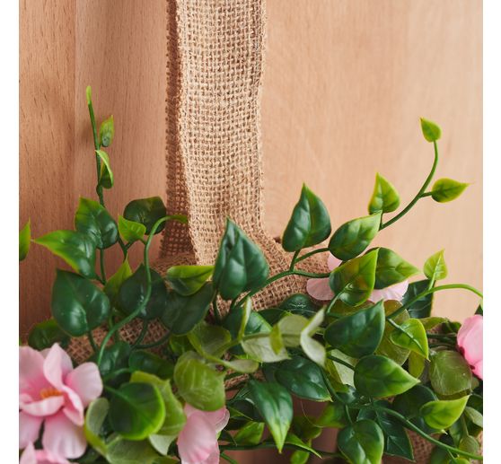 Eucalyptusstruik, green