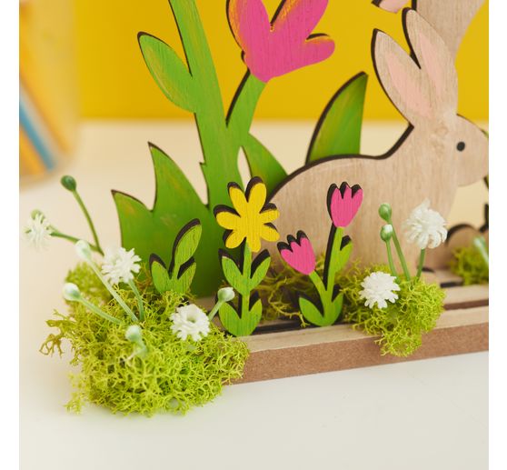 VBS Iceland moss, 100 g