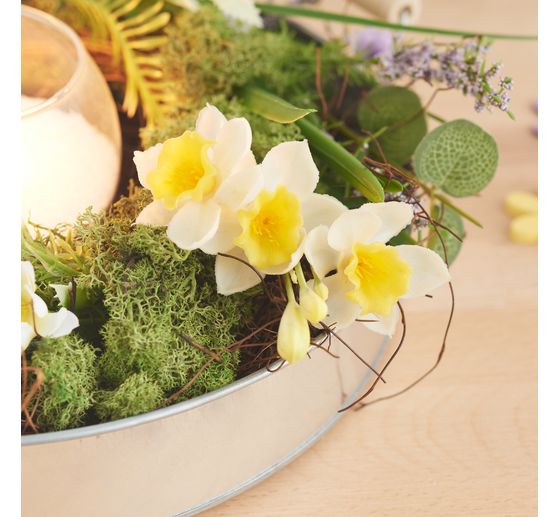 Narcissenbosje "Yellow / White"