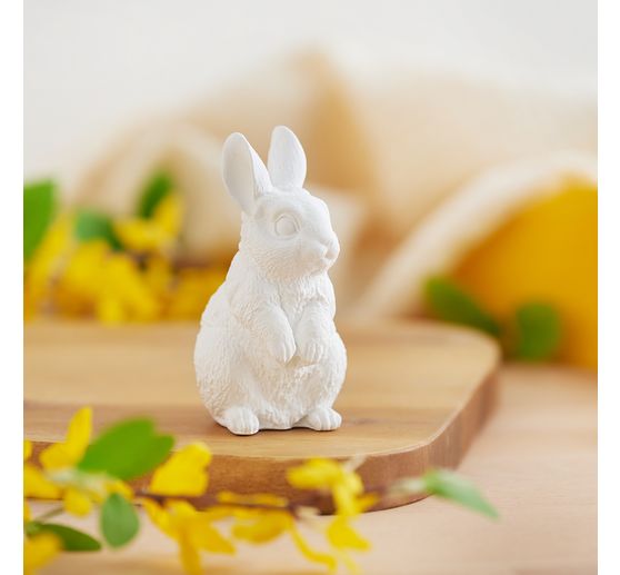 VBS KeraHobby Gietset "Haas"