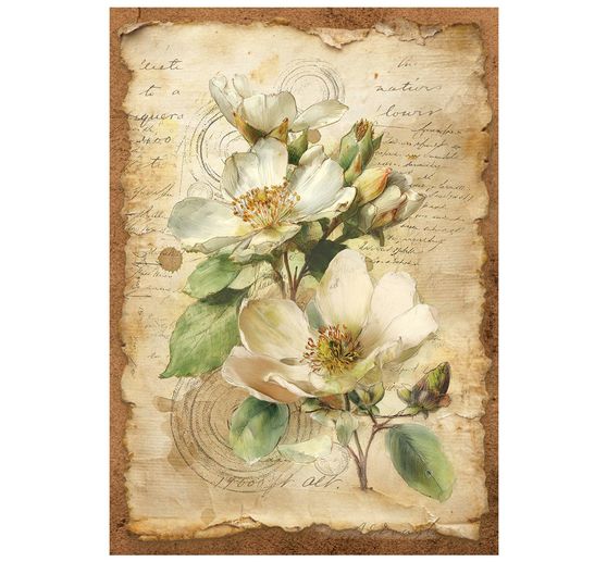 Motif straw silk assortment "All Around", DIN A6, set of 8