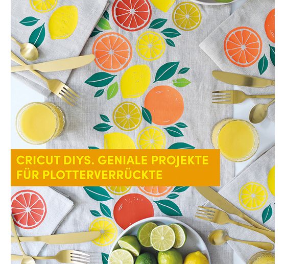 Boek "Cricut DIYs"