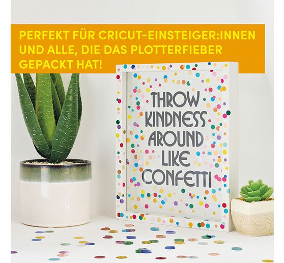 Boek "Cricut DIYs"