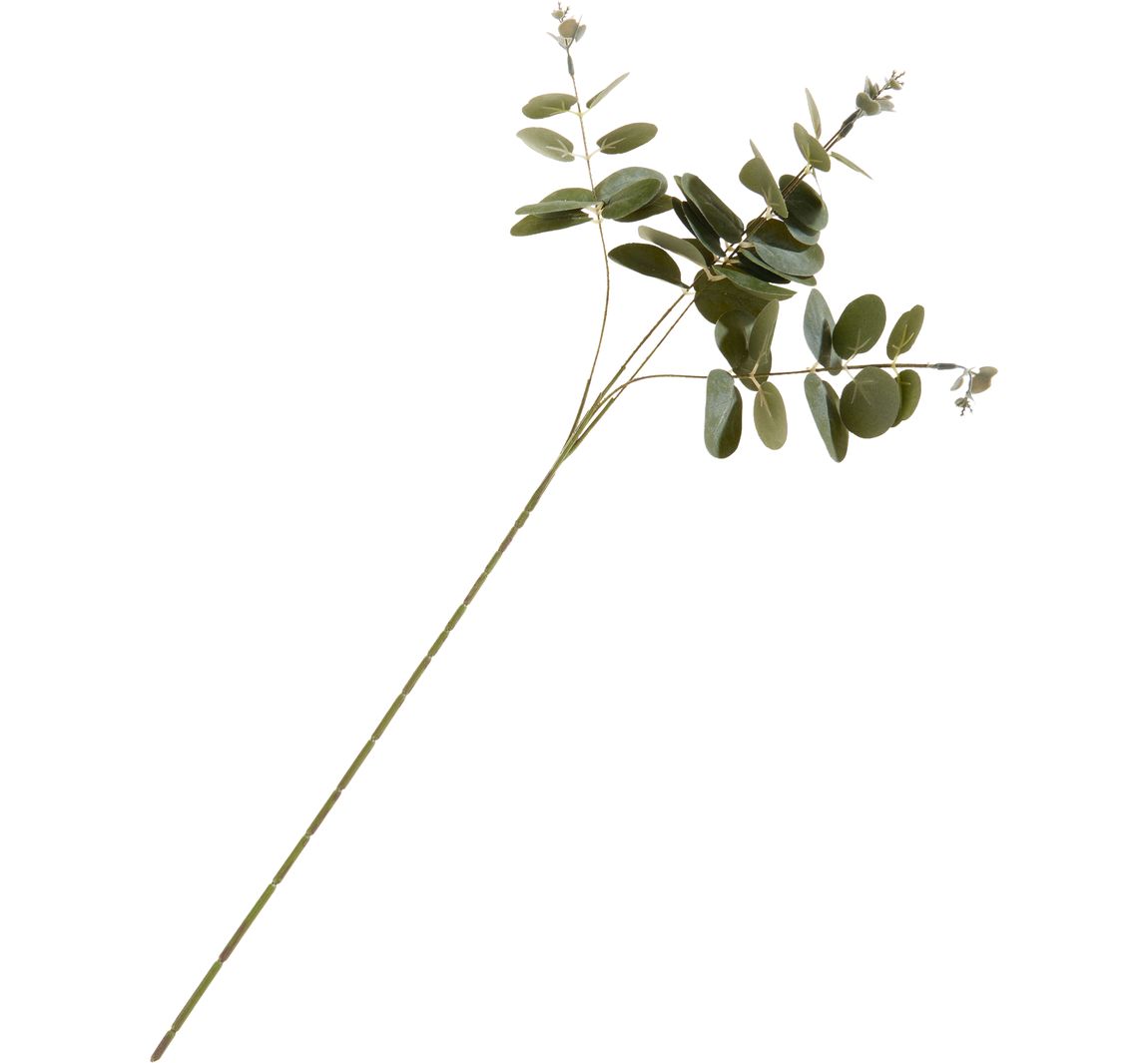 Eucalyptustak "Ava"