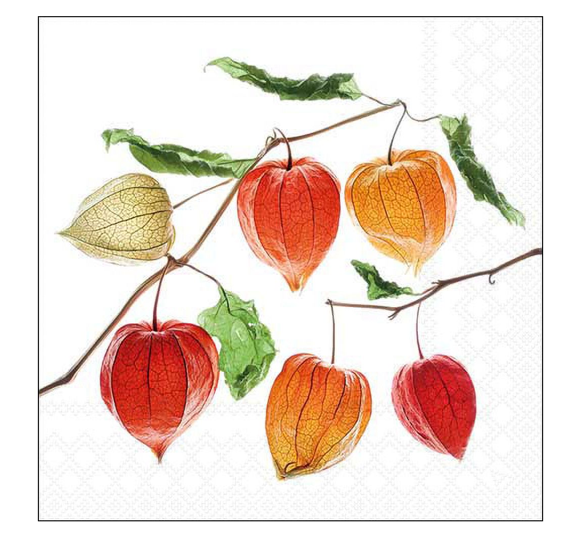 Servet "Lampionbloem"