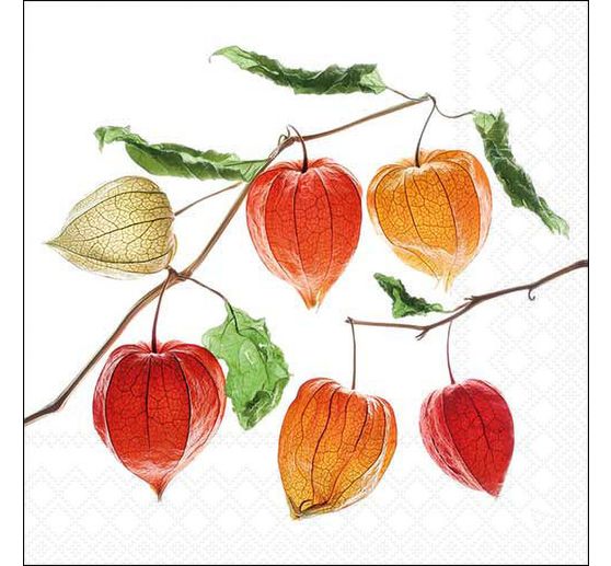 Servet "Lampionbloem"