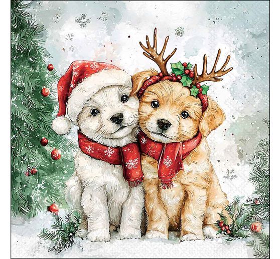 Servet "Cody and Buddy"