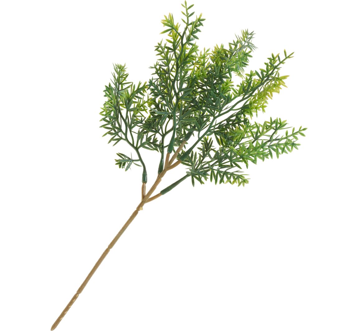 Bladertak "Thymus“