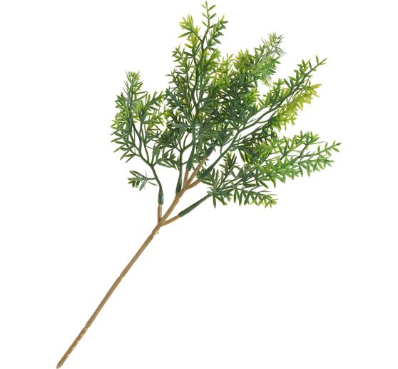 Leaf branch "Thymus"