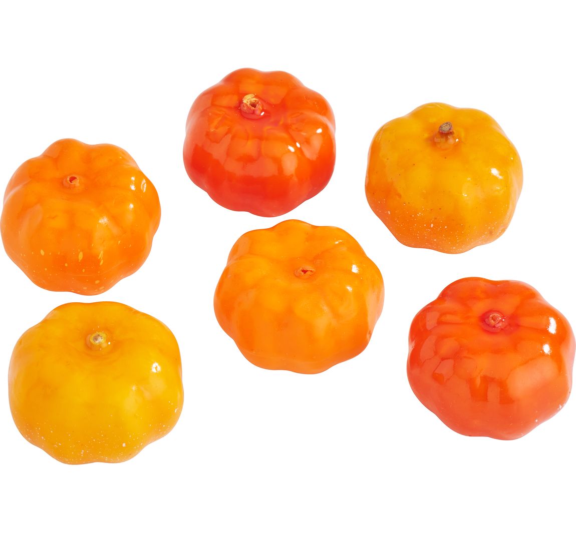 VBS Mini‑pompoenen, set van 6
