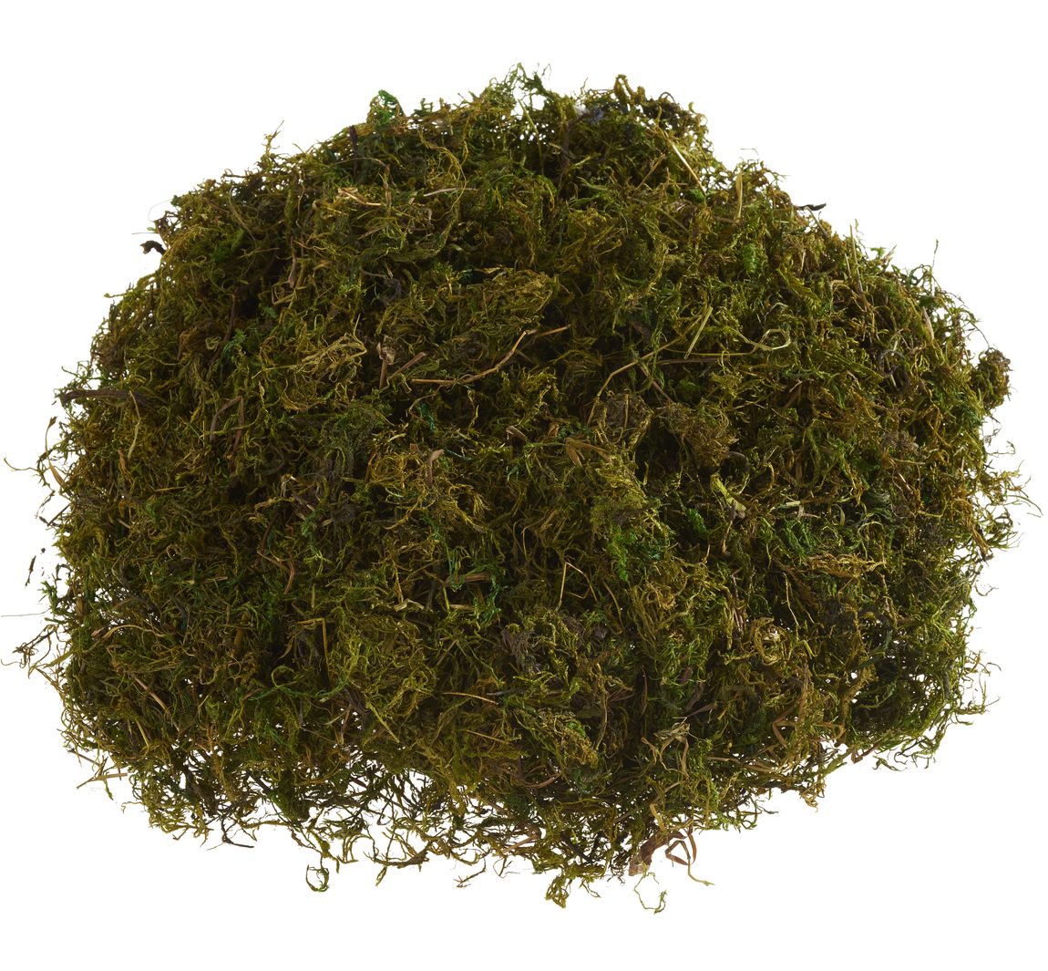 Natuurlijk mos, 50 g