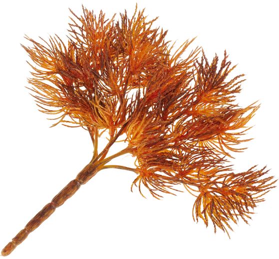 Korstmospick "Vera"