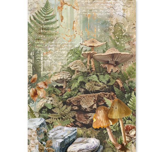 Ciao Bella motief strozijde assortiment "The Nature Journal", set van 8