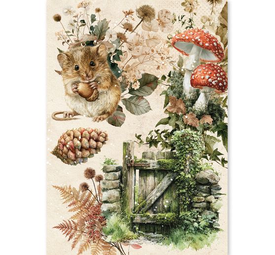 Ciao Bella motief strozijde assortiment "The Nature Journal", set van 8