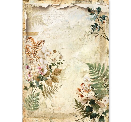Ciao Bella motief strozijde assortiment "The Nature Journal", set van 8