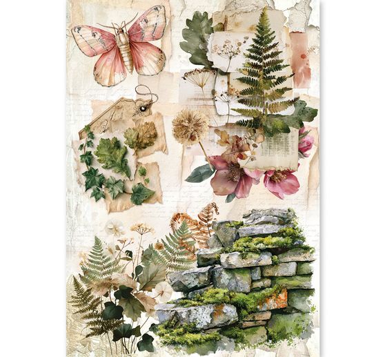 Ciao Bella motief strozijde assortiment "The Nature Journal", set van 8
