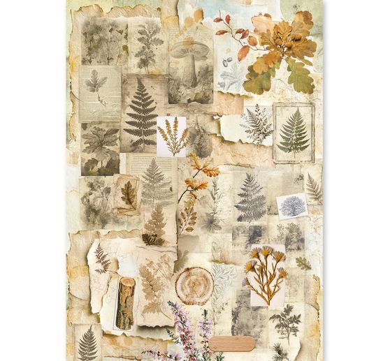 Ciao Bella motief strozijde assortiment "The Nature Journal", set van 8