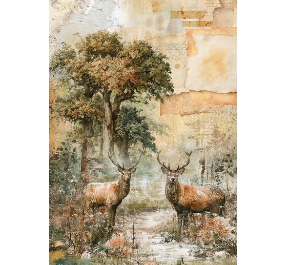 Ciao Bella motief strozijde assortiment "The Nature Journal", set van 8