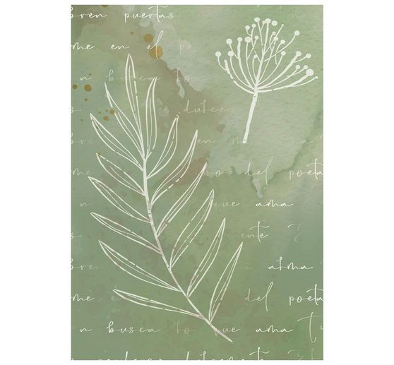 Stamperia Motief strozijde backgrounds "Flowers and Poems", DIN A6, set van 8