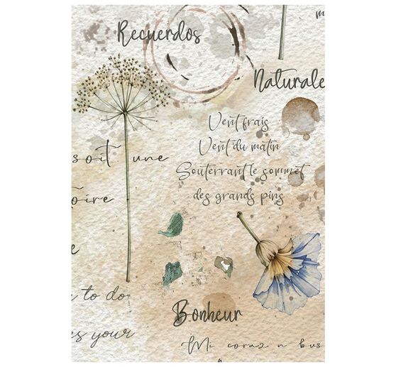 Stamperia Motief strozijde assortiment "Flowers and Poems", DIN A6, set van 8