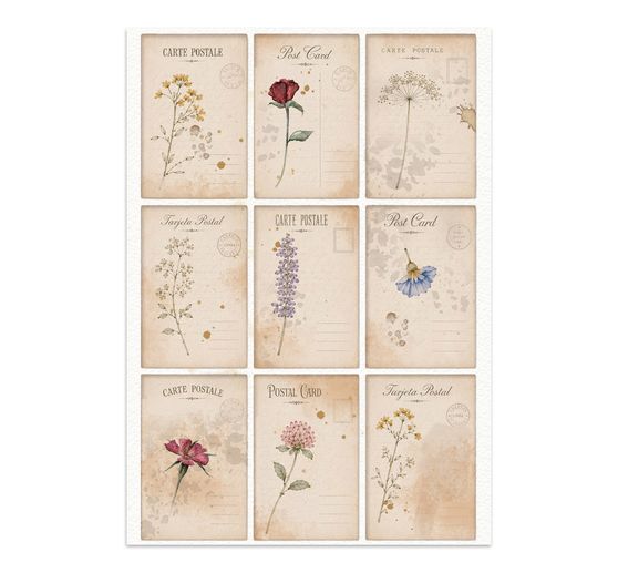 Stamperia A5 Junk Journal Focus Points "Flowers and Poems"