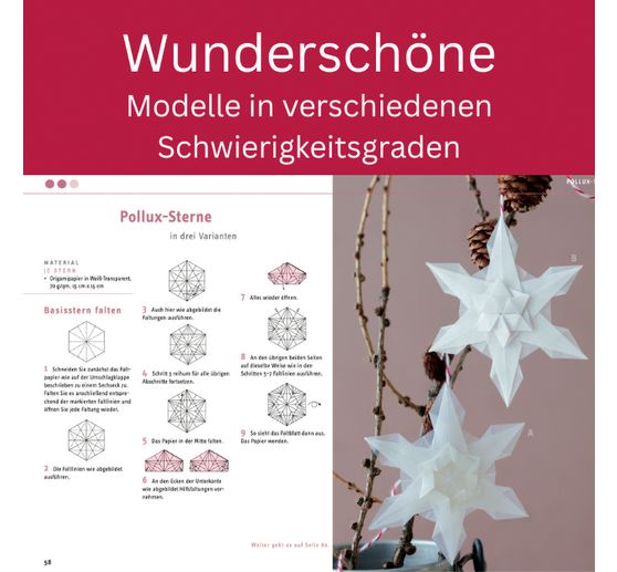 Boek "Zarte Origamisterne (kreativ.kompakt.)"