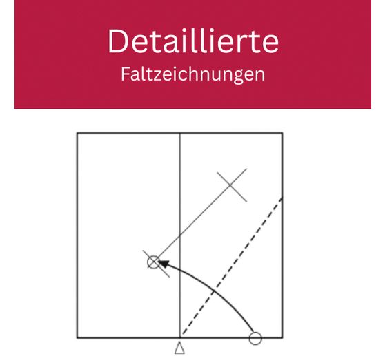 Boek "Zarte Origamisterne (kreativ.kompakt.)"