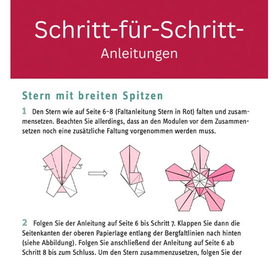 Boek "Zarte Origamisterne (kreativ.kompakt.)"