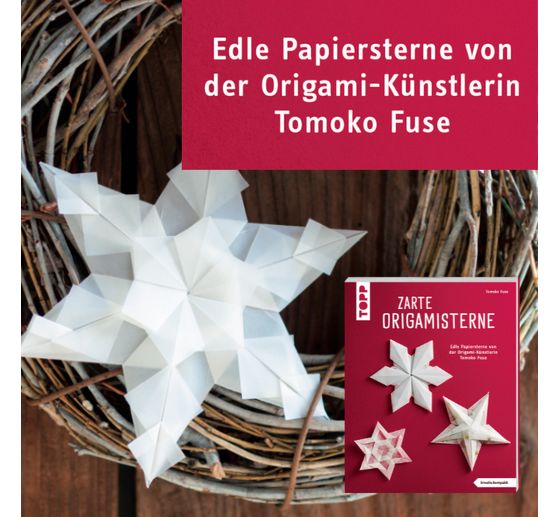 Boek "Zarte Origamisterne (kreativ.kompakt.)"