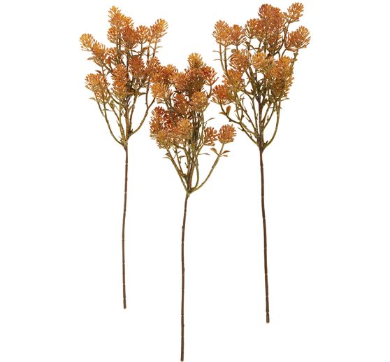 Vetplantenbos