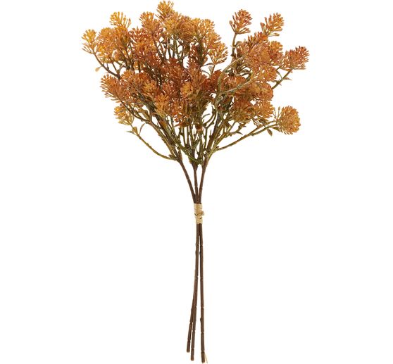 Vetplantenbos