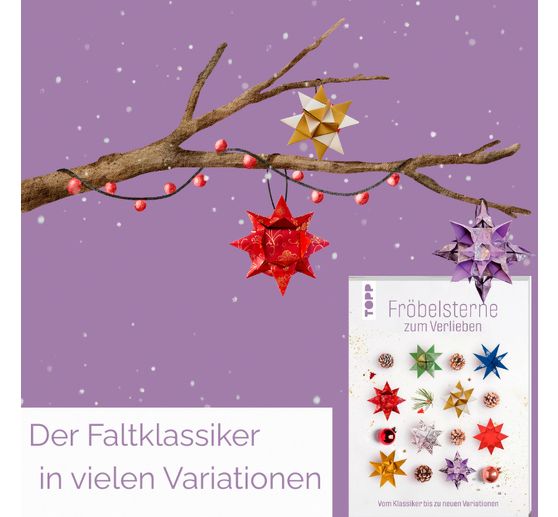 Boek "Fr&ouml;belsterne zum Verlieben"
