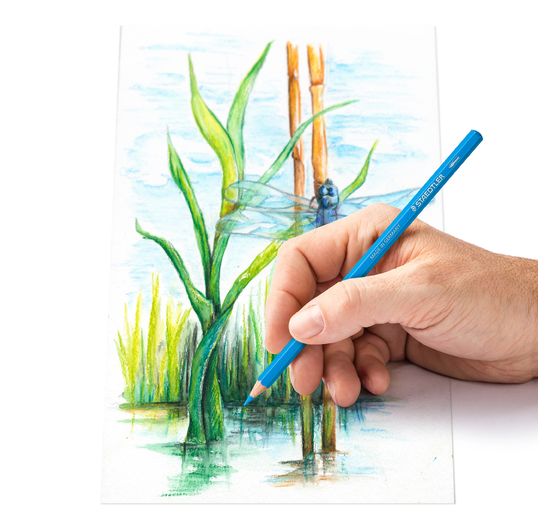 STAEDTLER Coloured pencils in metal tin