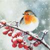 Napkin "Hello robin"