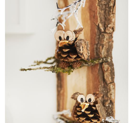 VBS Mini bark discs "Round"