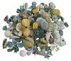 Exotische Potpourri