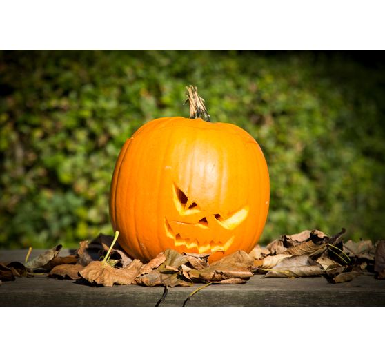 Pumpkin Carving set, 5 pcs.