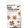 Mini moravian stars Nature