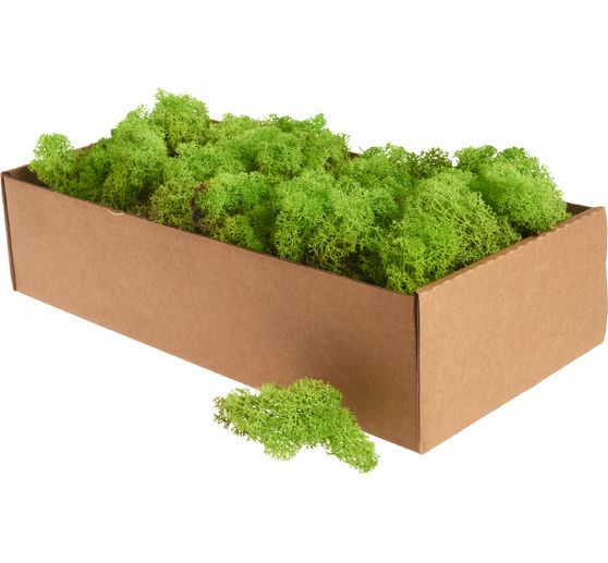 Ijslands mos, 400 g