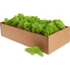 Ijslands mos, 400 g Lichtgroen