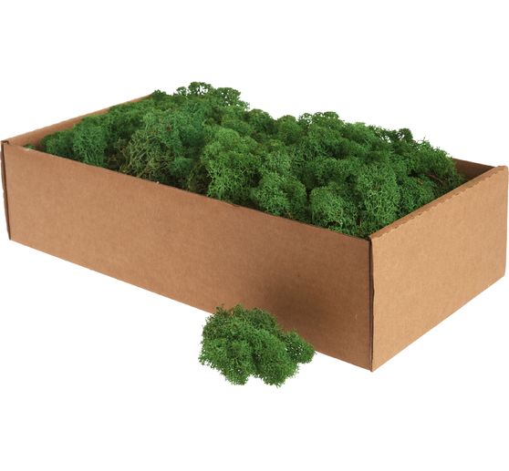Ijslands mos, 400 g